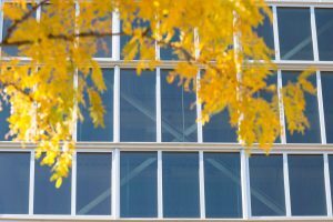 urban outfitters naval yard building windows