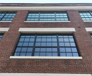 The Importance of Natural Light to Office Design and Employee Satisfaction