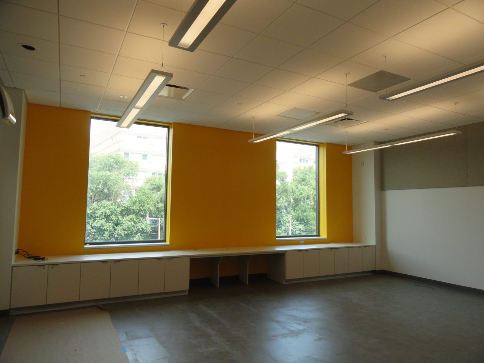 Project Image 2