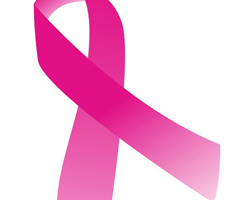St. Cloud Window Joins In The Fight Against Breast Cancer