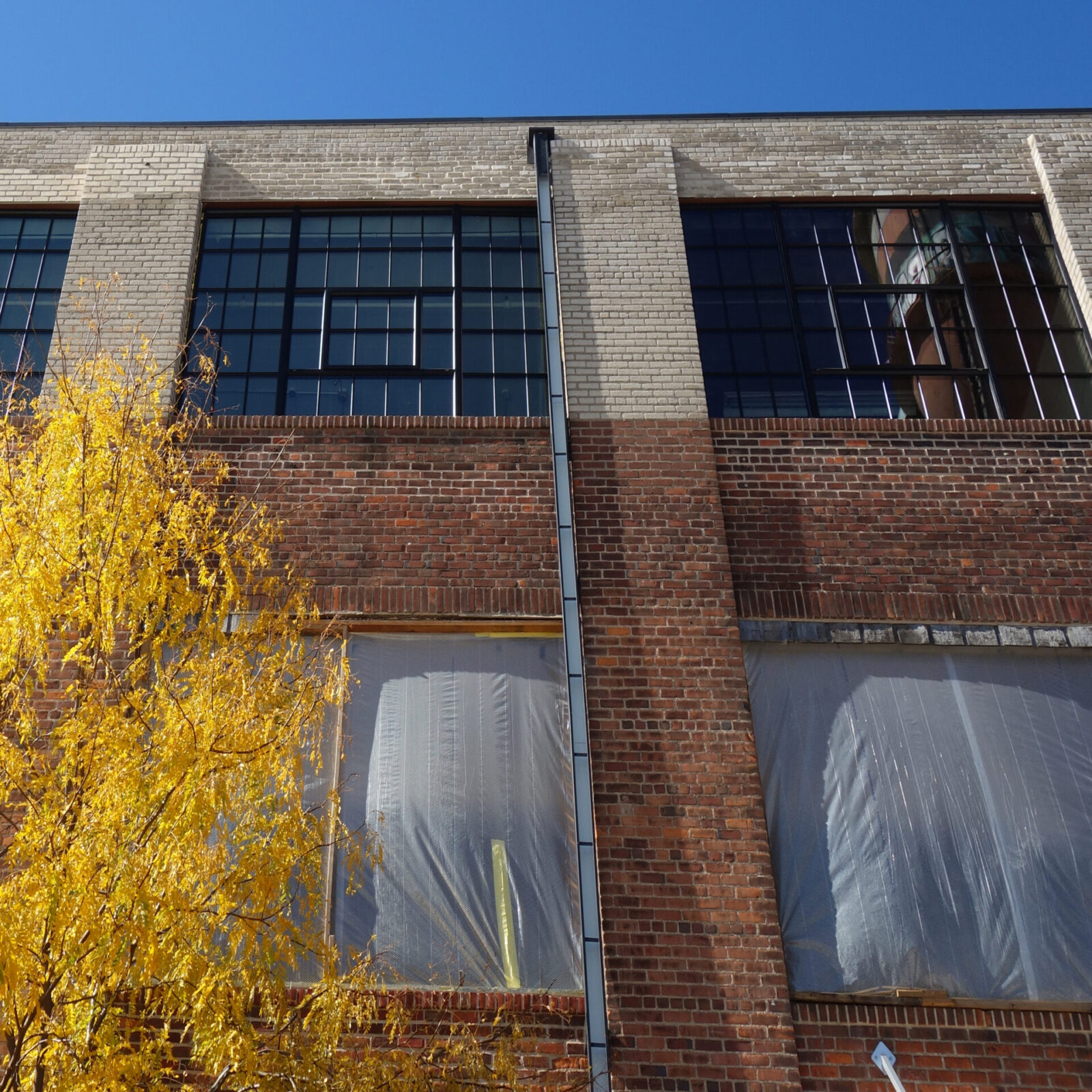 Restore or Replace Commercial Windows?